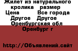 Жилет из натурального кролика,44размер › Цена ­ 500 - Все города Другое » Другое   . Оренбургская обл.,Оренбург г.